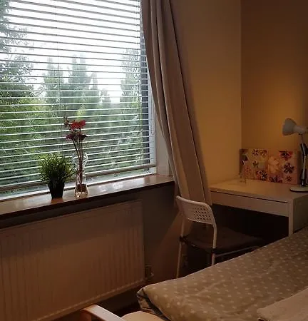 ホームステイ Jodemm Homestay レイキャヴィーク